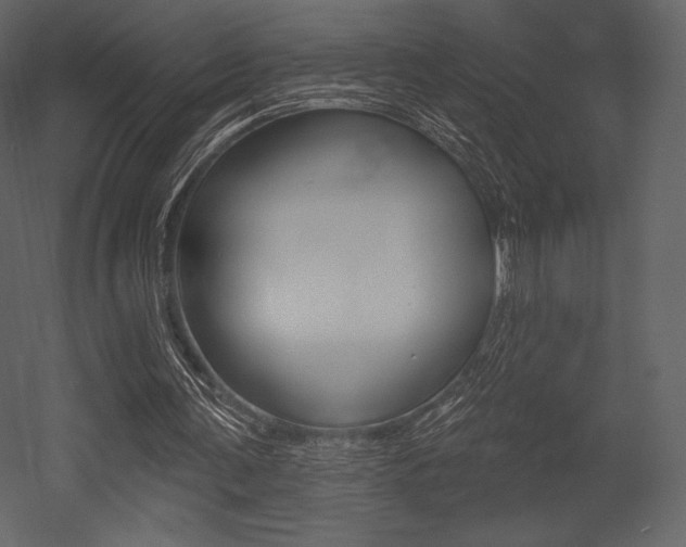X0000053000291200507081002