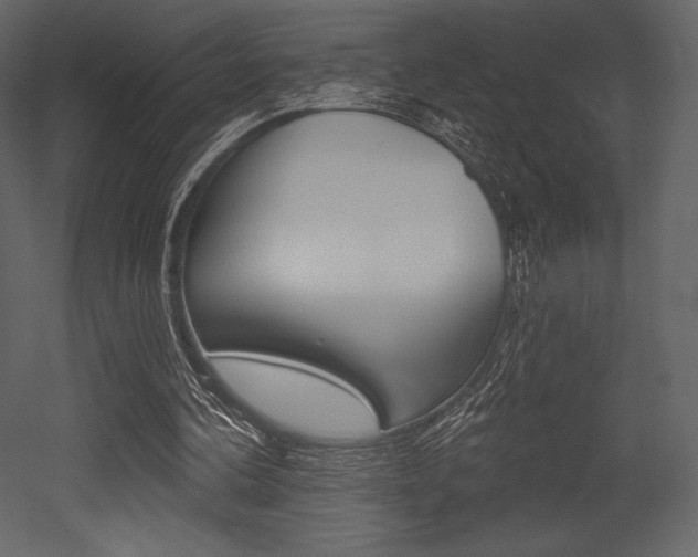 X0000053000292200507081002