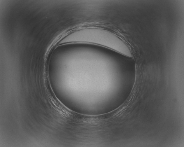 X0000053000293200507081002