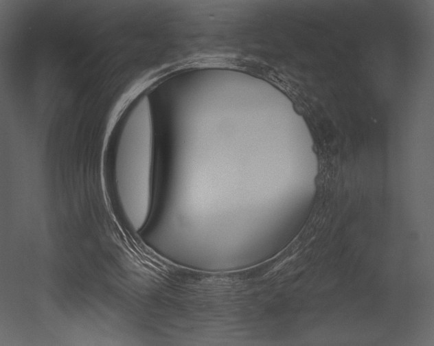 X0000053000294200507081002