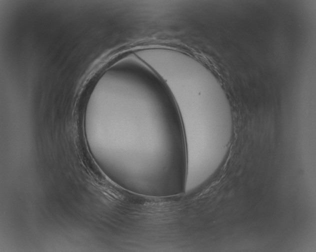 X0000053000295200507081002