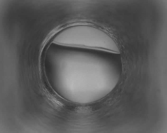 X0000053000296200507081002