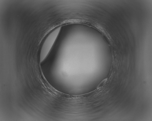 X0000053000297200507081002