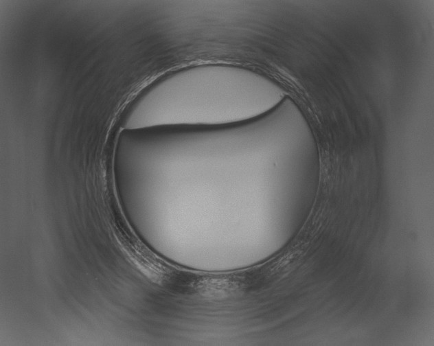 X0000053000298200507081002