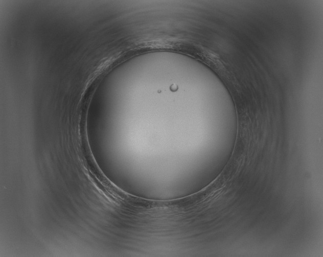X0000053000299200507081002
