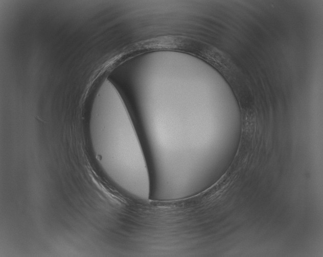 X0000053000302200507081002