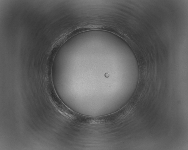 X0000053000303200507081002
