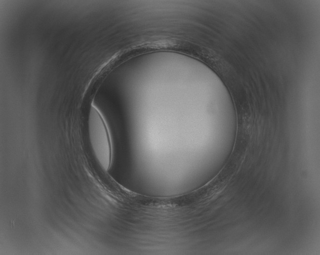 X0000053000304200507081002