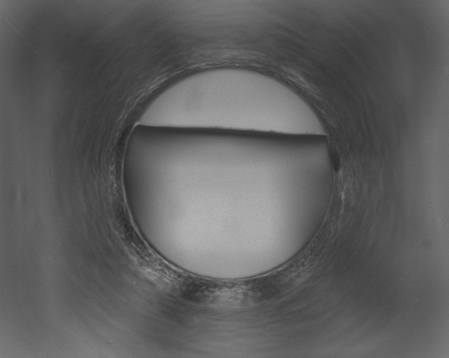 X0000053000306200507081002