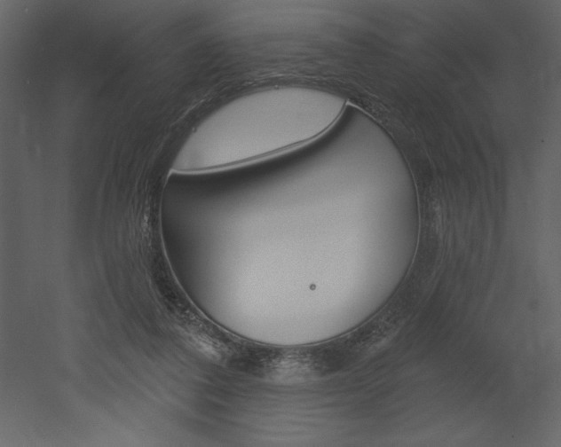 X0000053000308200507081002