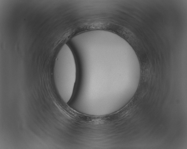 X0000053000310200507081002