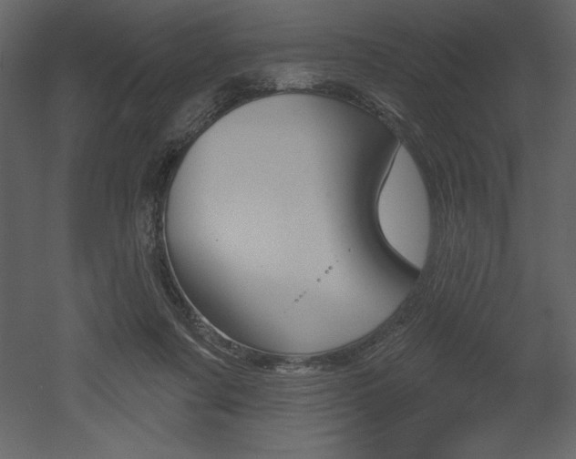 X0000053000311200507081002
