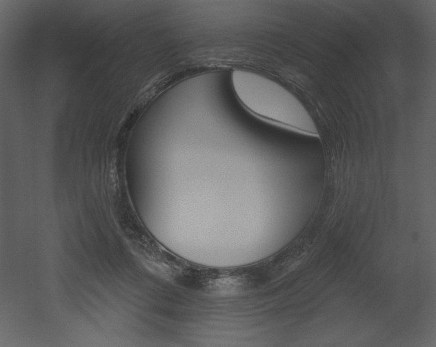 X0000053000312200507081002