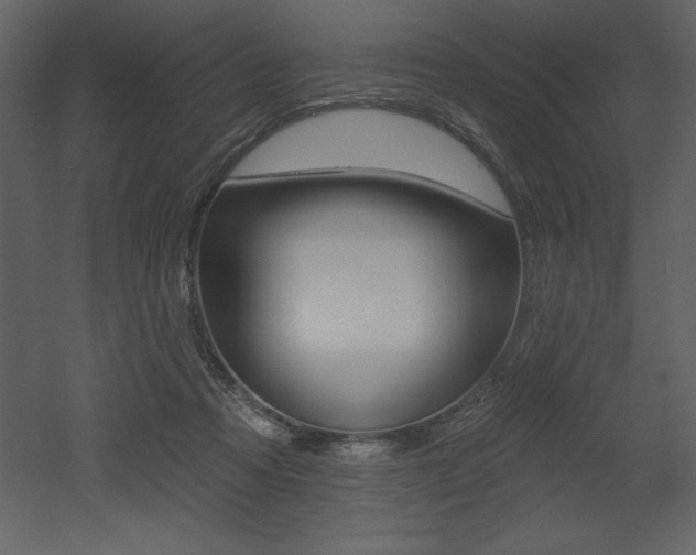 X0000053000313200507081002