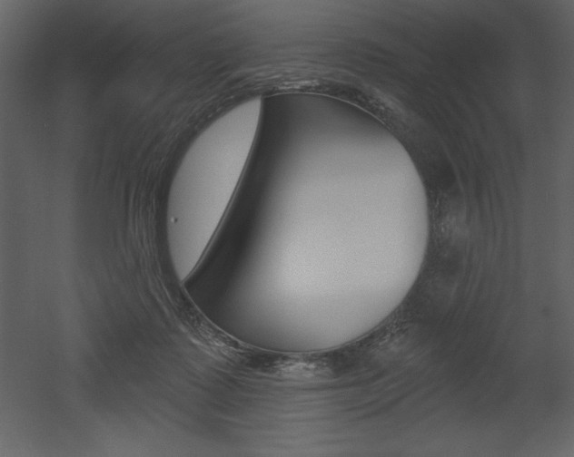 X0000053000315200507081002
