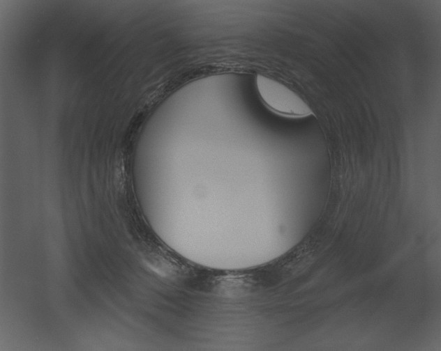 X0000053000320200507081002