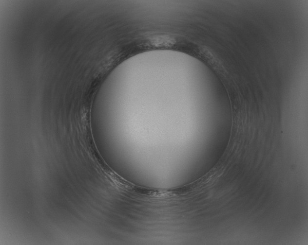 X0000053000321200507081002