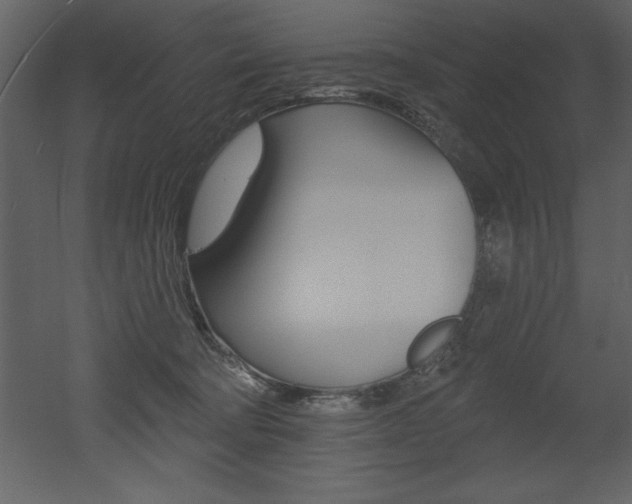 X0000053000322200507081002