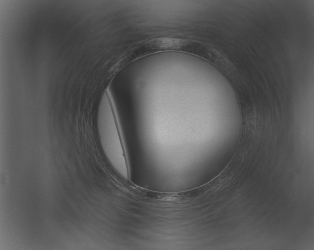 X0000053000325200507081002