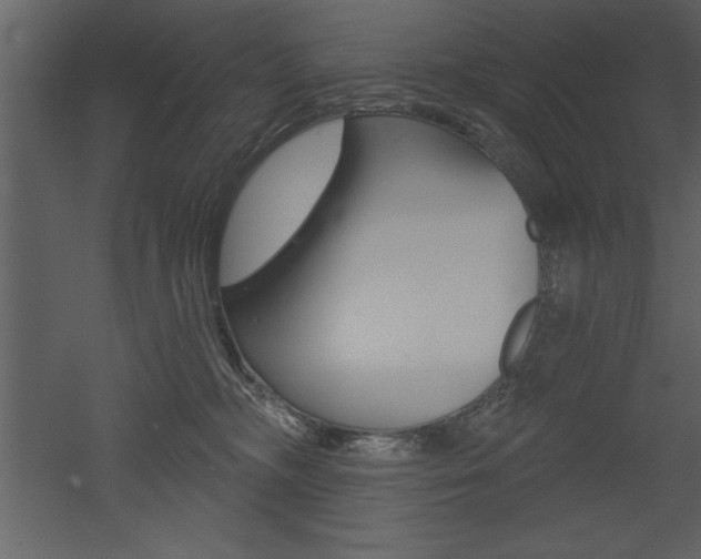 X0000053000326200507081002