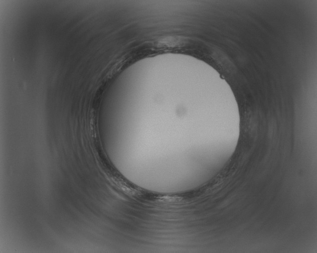X0000053000328200507081002