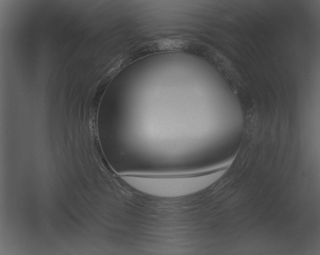 X0000053000329200507081002