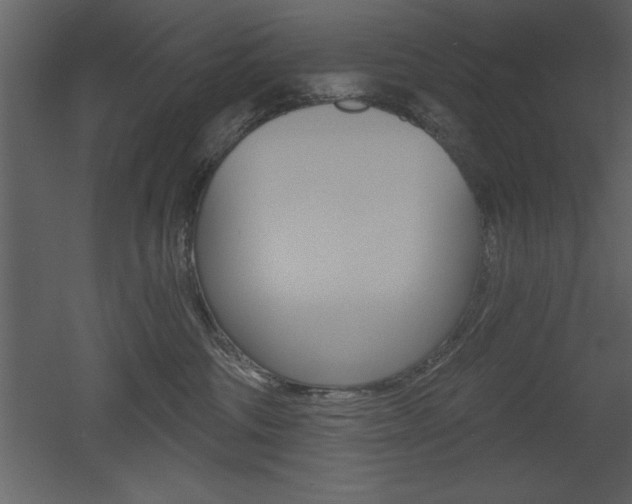 X0000053000330200507081002