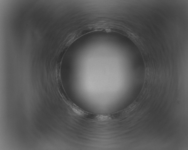 X0000053000333200507081002