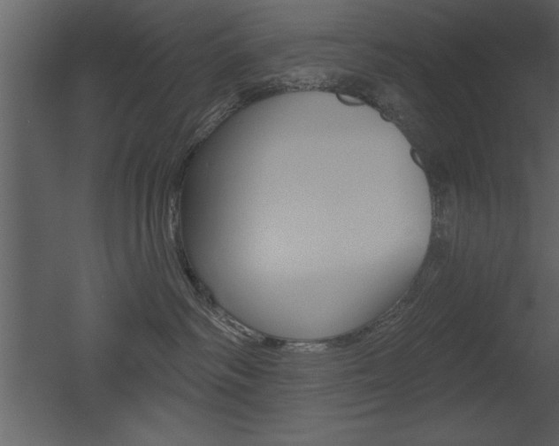 X0000053000334200507081002