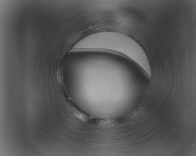 X0000053000335200507081002