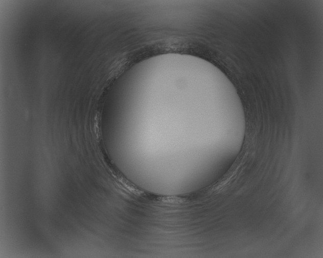 X0000053000336200507081002