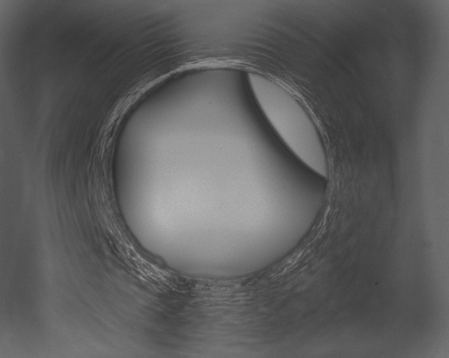 X0000053000337200507081001