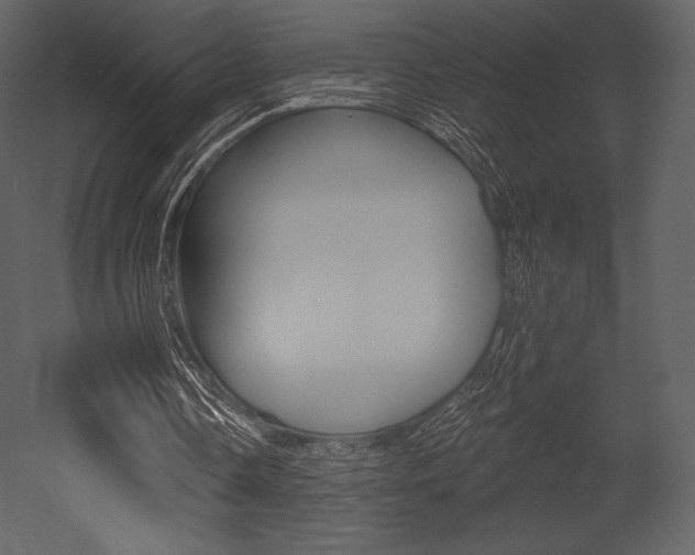 X0000053000338200507081001