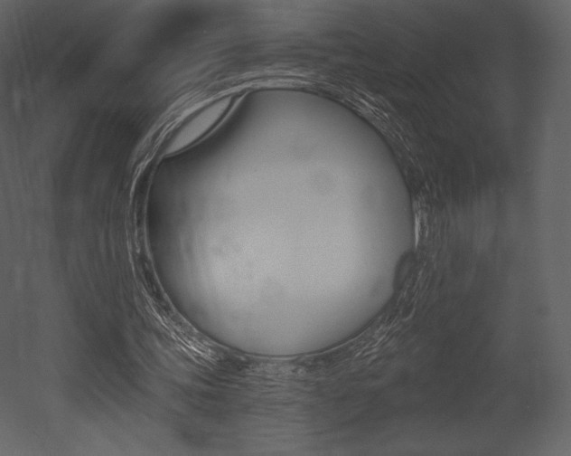 X0000053000339200507081001