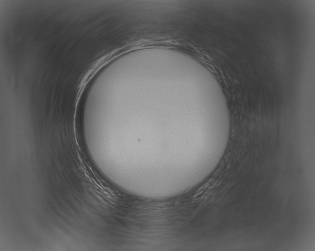 X0000053000340200507081001