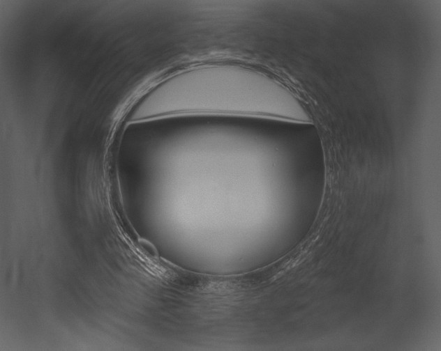 X0000053000341200507081001