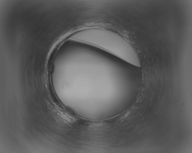 X0000053000342200507081001