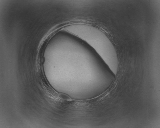 X0000053000343200507081001