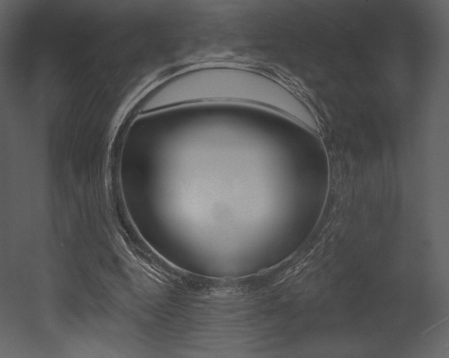 X0000053000344200507081001