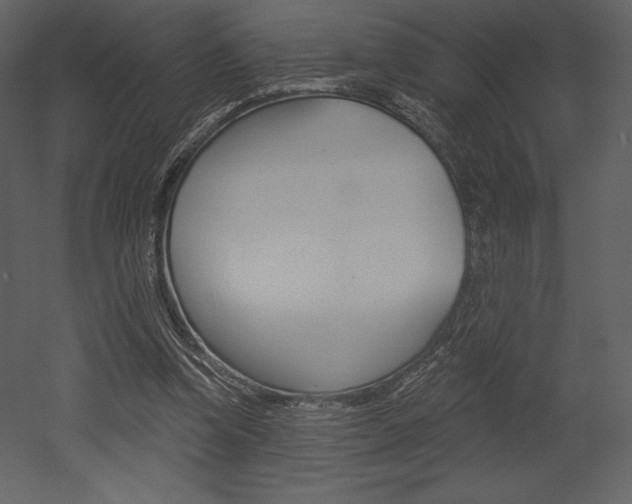 X0000053000346200507081001