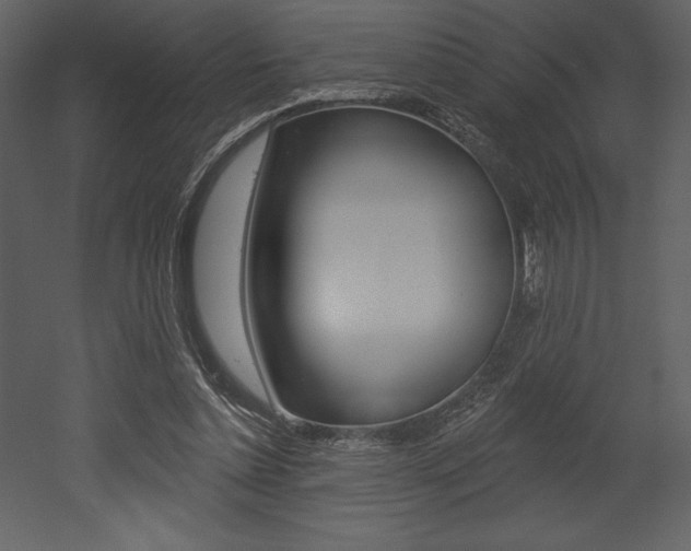 X0000053000348200507081001