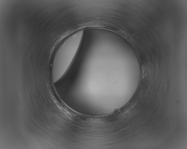 X0000053000349200507081001