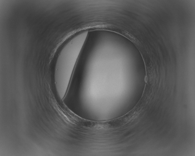X0000053000350200507081001