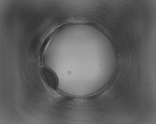 X0000053000351200507081001