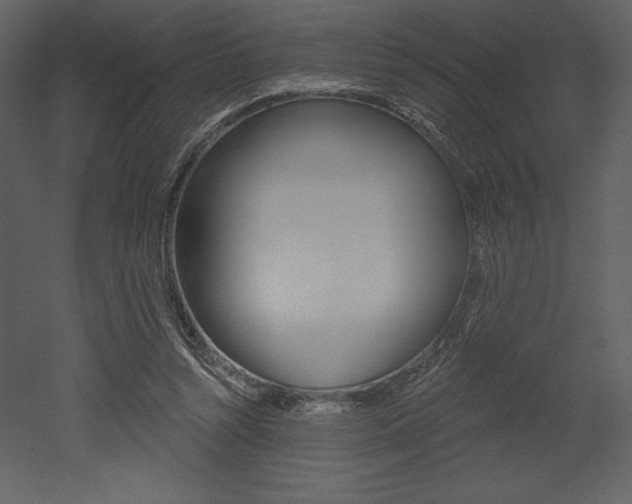 X0000053000352200507081001