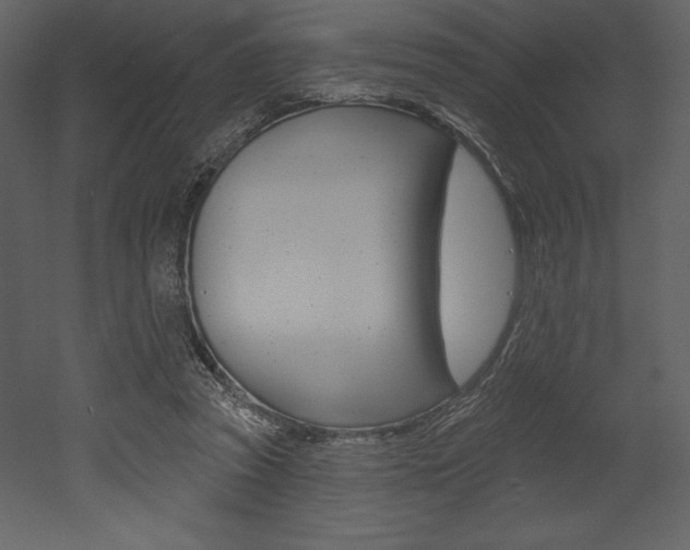 X0000053000353200507081001