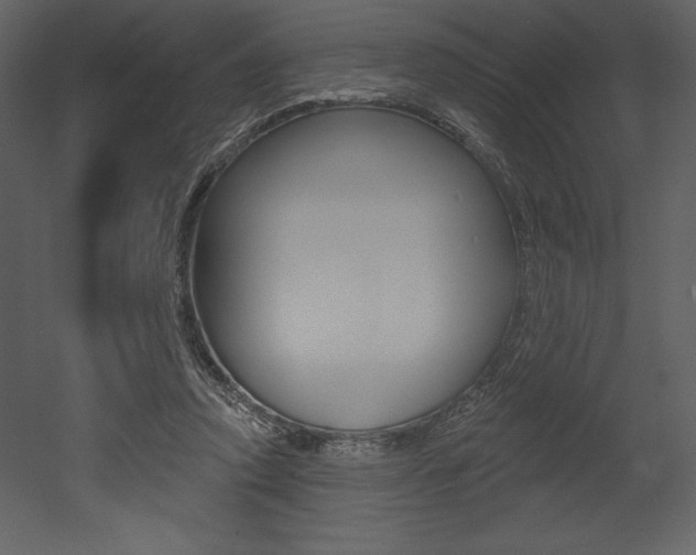 X0000053000354200507081001