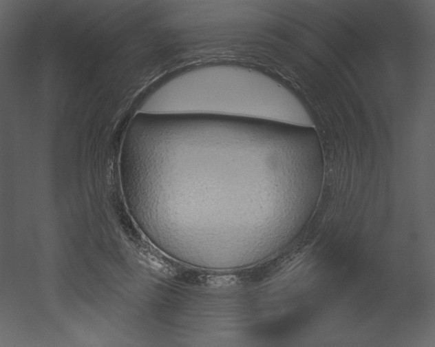X0000053000355200507081001