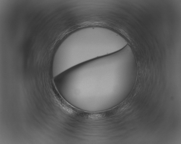 X0000053000357200507081001