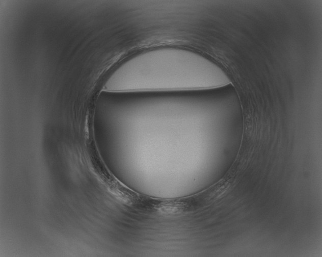 X0000053000358200507081001